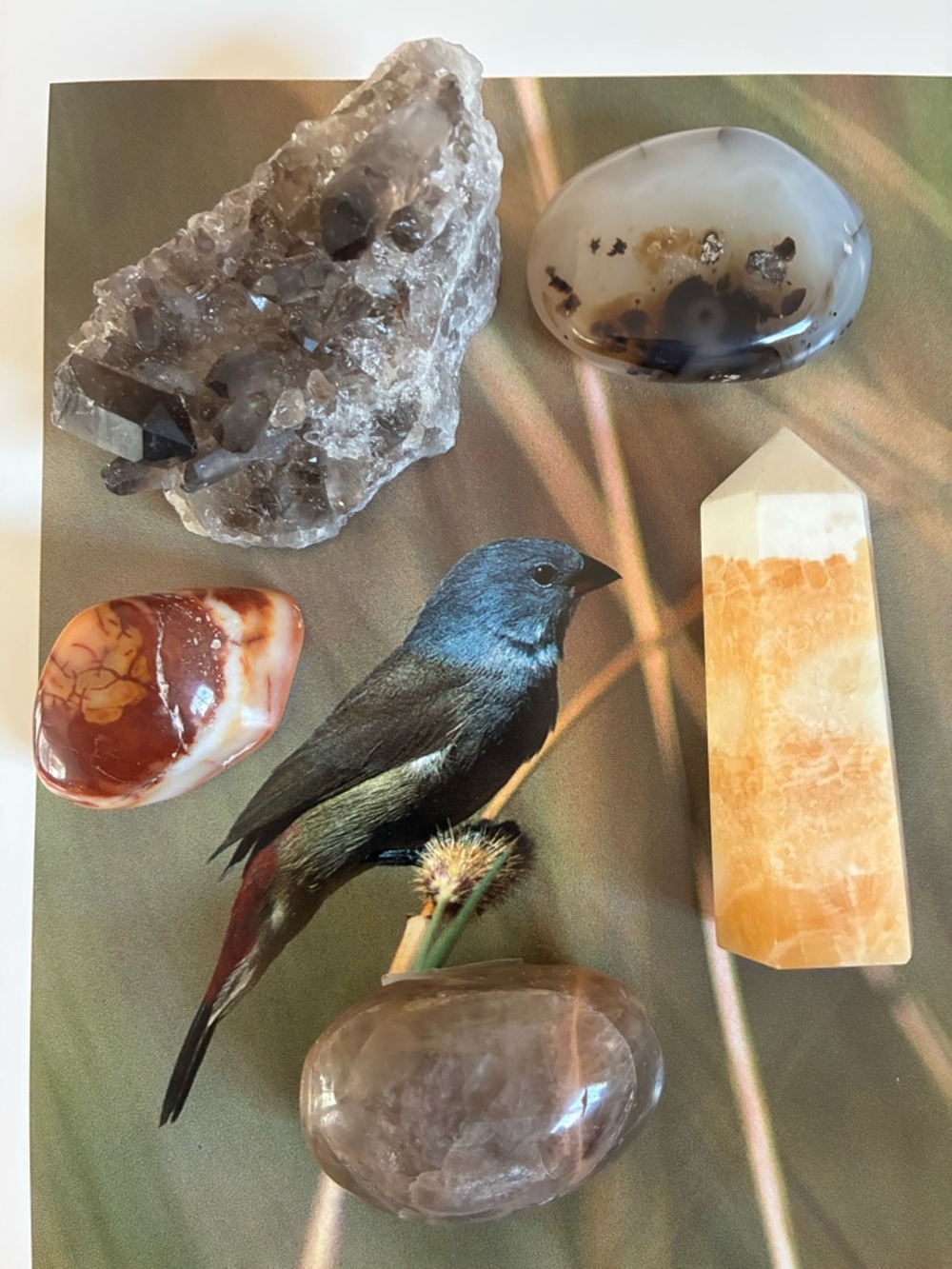 🔮 5 Piece Healing Crystal Gift Box - Orange Calcite Tower 🎁